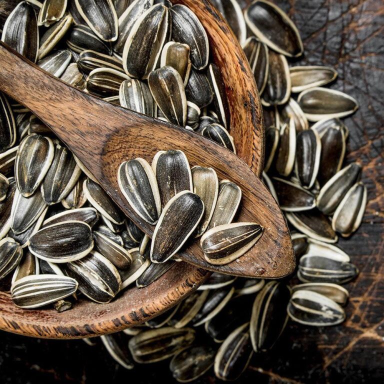 sunflower seed